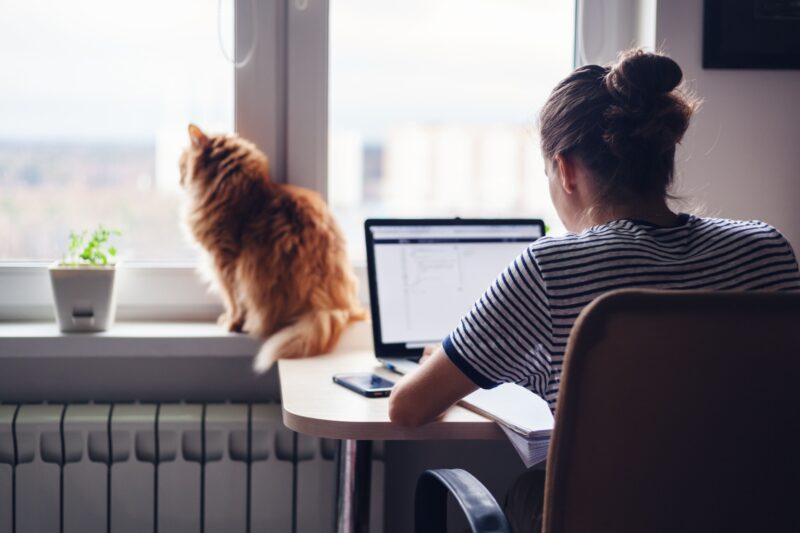 A woman working from home with a cat sitting on her windowsill.